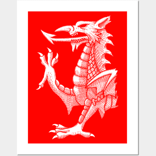 Welsh Dragon Hatching Posters and Art